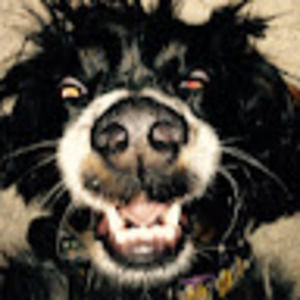 Meet your Posher, Asher